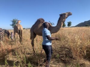 Rescue & Emergency Response