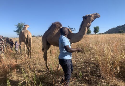 Rescue & Emergency Response