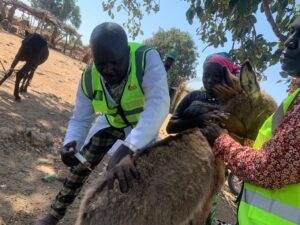 Vaccination & Outreach Campaigns