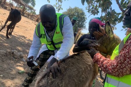 Vaccination & Outreach Campaigns 💉