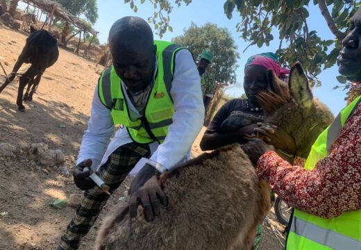 Vaccination & Outreach Campaigns