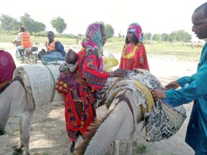 Working Animal Welfare