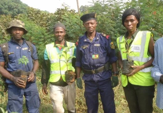 Environmental Protection